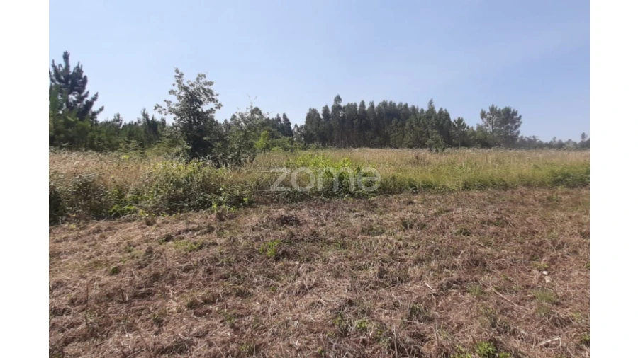 Terreno para Venda em Soure Foto 15