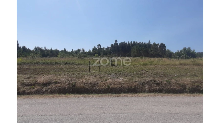 Terreno para Venda em Soure Foto 6