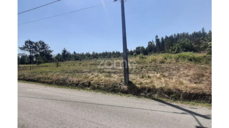Terreno para Venda em Soure Foto 12