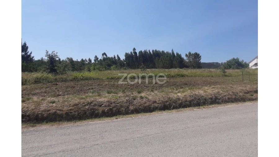 Terreno para Venda em Soure Foto 9