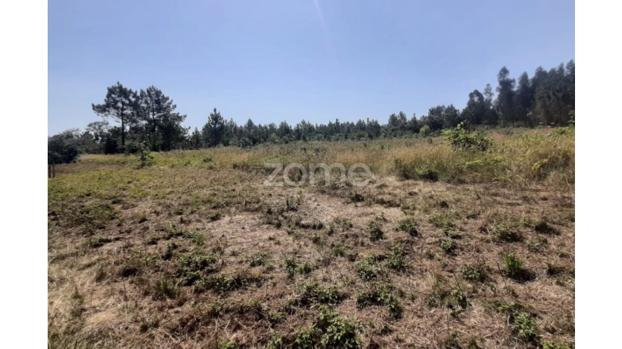 Terreno para Venda em Soure Foto 8