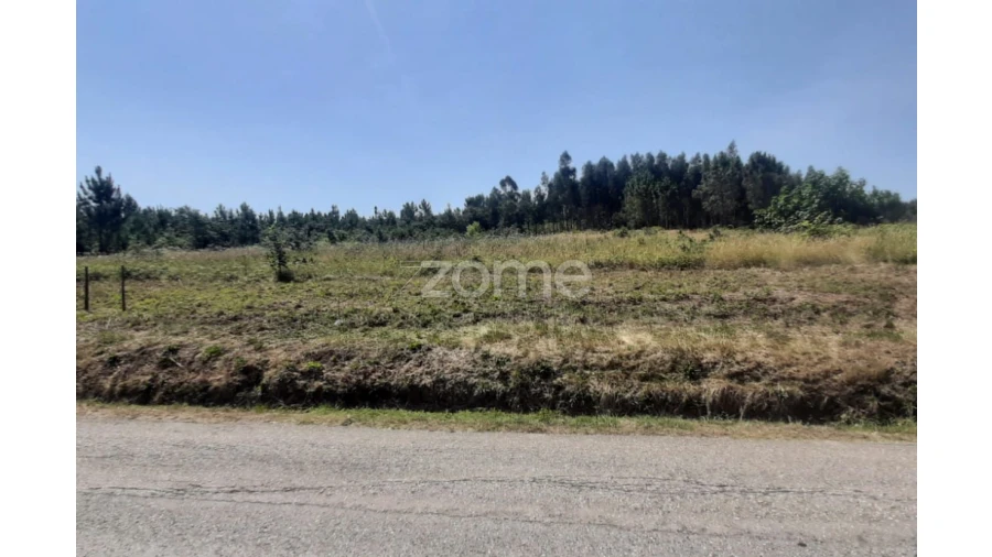 Terreno para Venda em Soure Foto 16