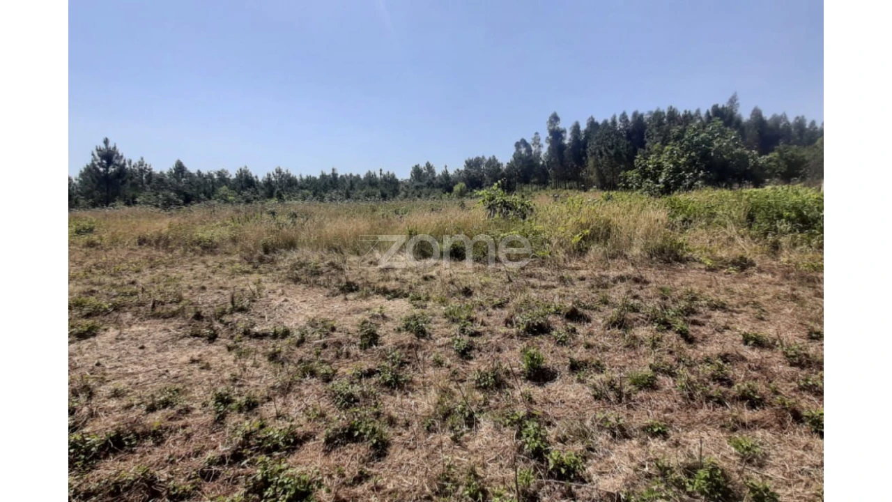Terreno para Venda em Soure Foto 10
