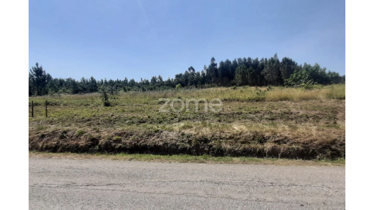 Terreno para Venda em Soure Foto 16