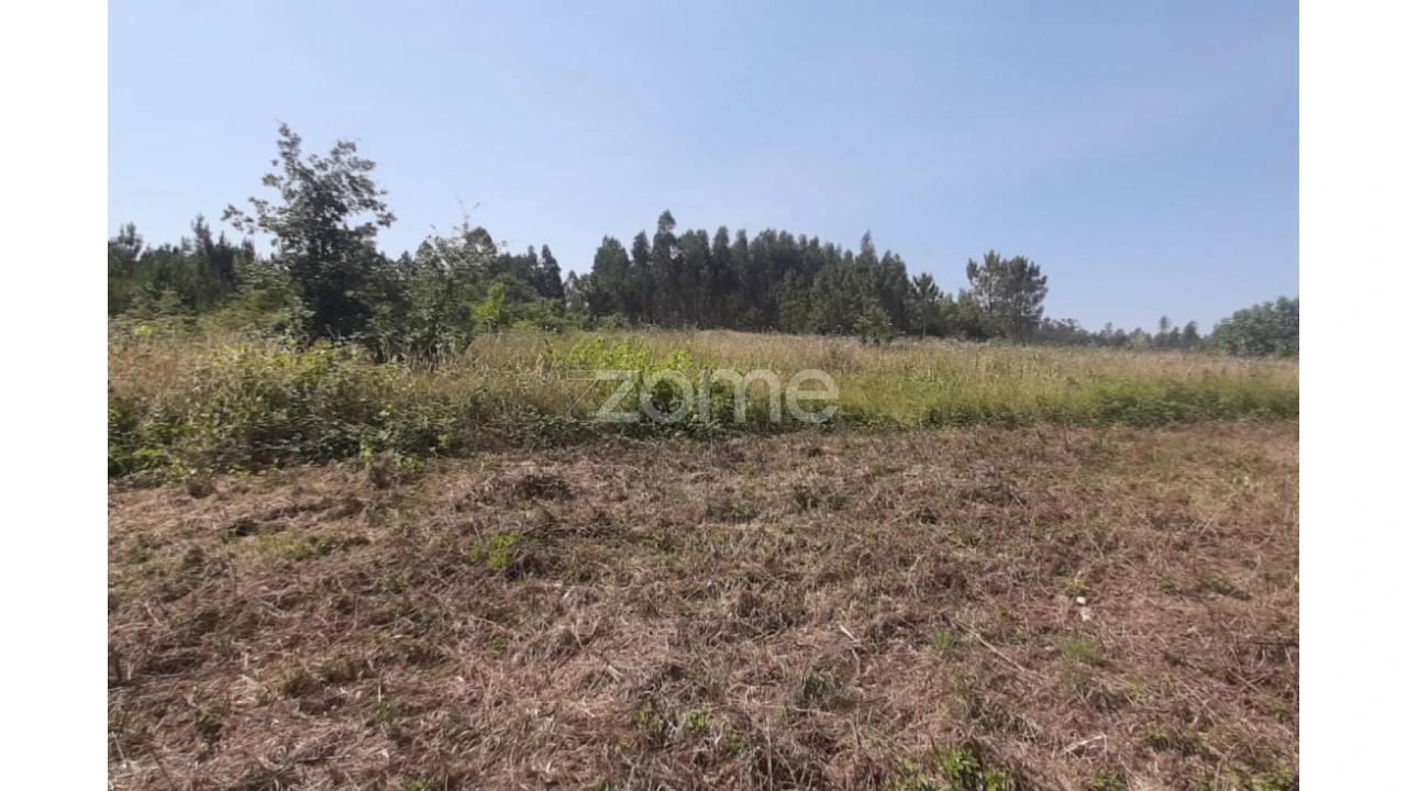 Terreno para Venda em Soure Foto 5