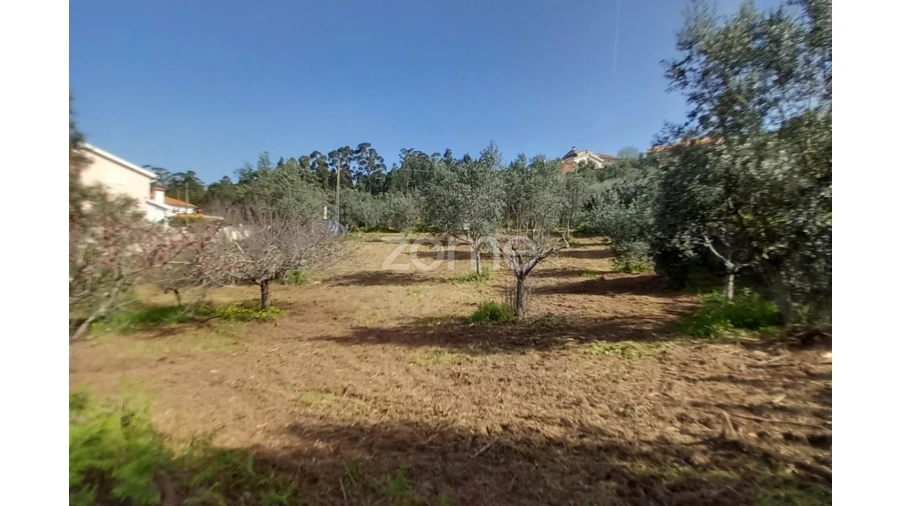 Terreno para Venda em Luso Foto 3