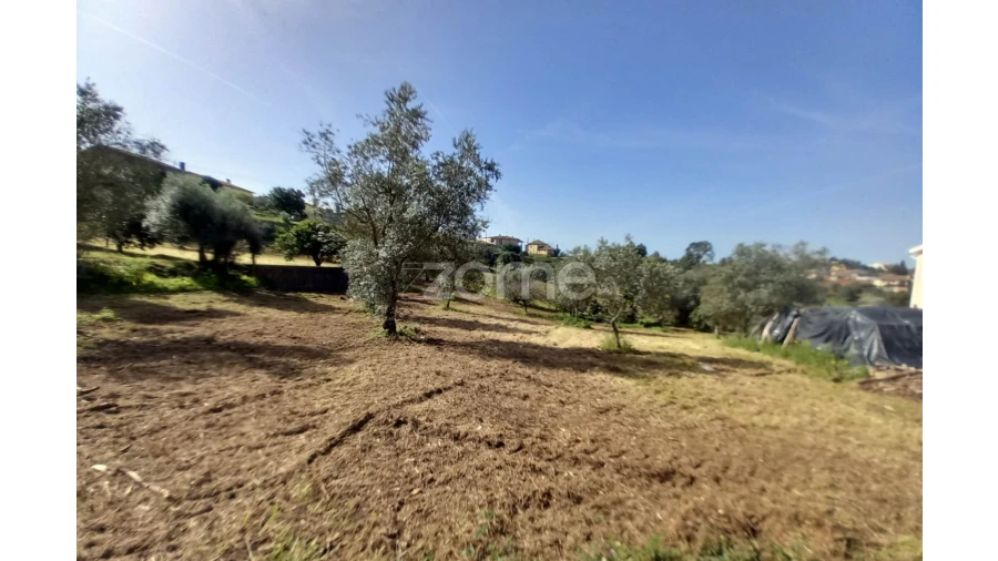 Terreno para Venda em Luso