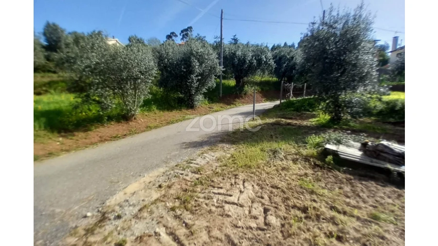 Terreno para Venda em Luso Foto 10