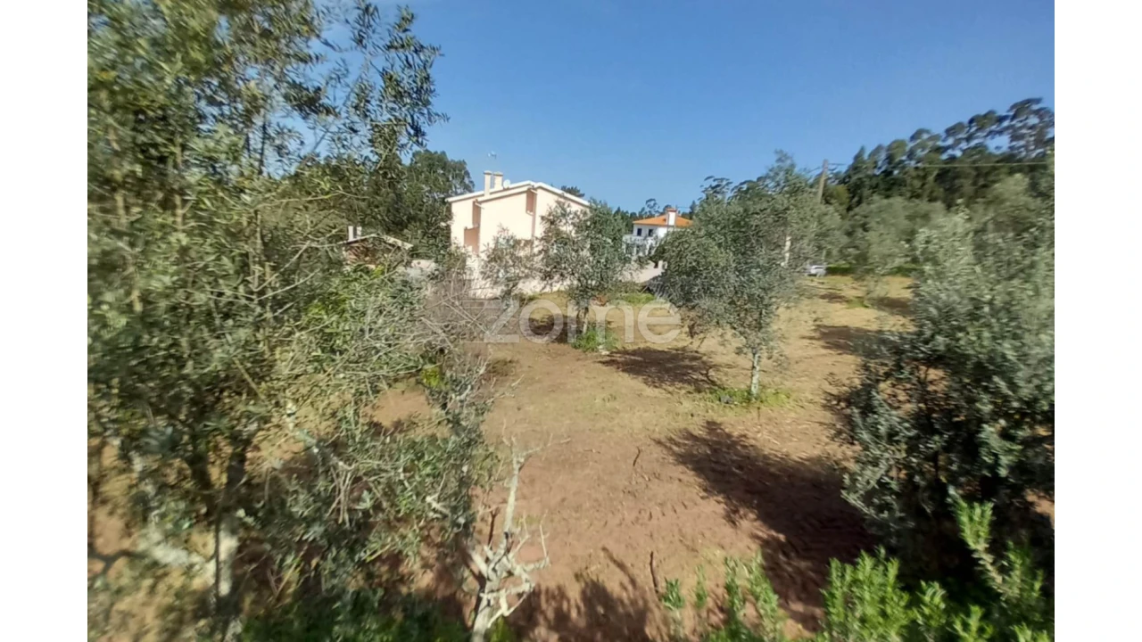 Terreno para Venda em Luso Foto 11