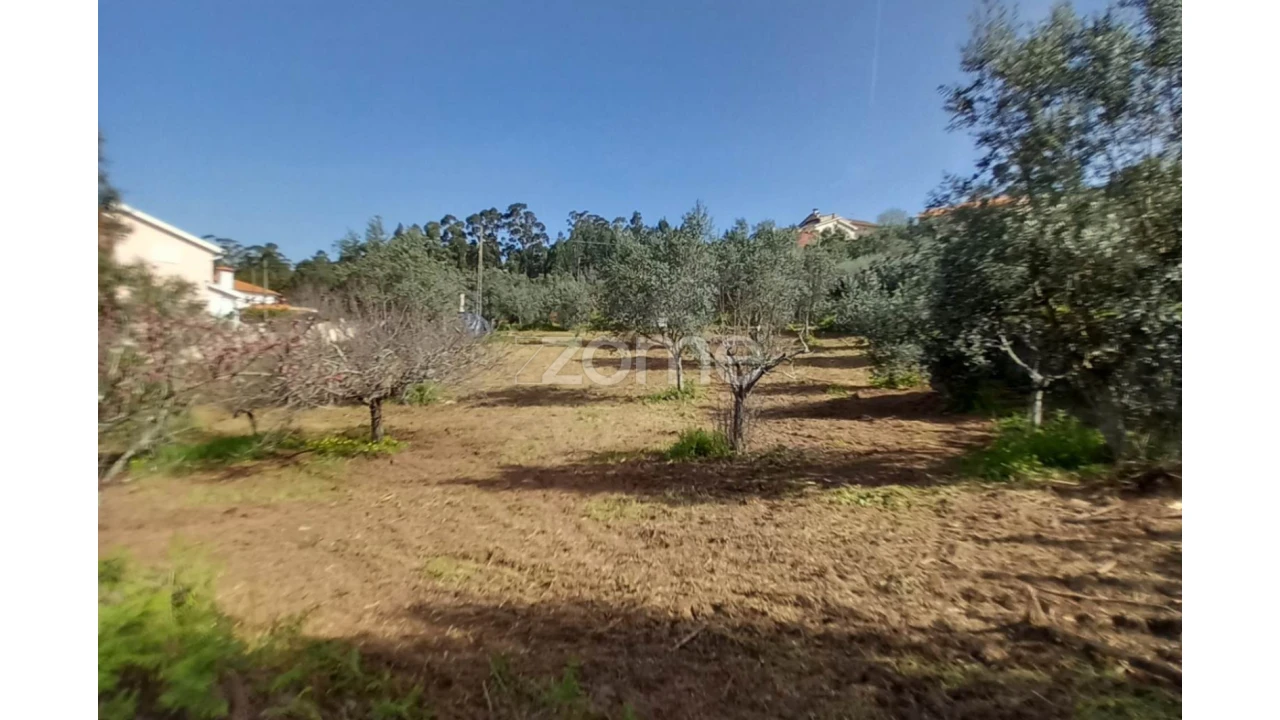 Terreno para Venda em Luso Foto 3