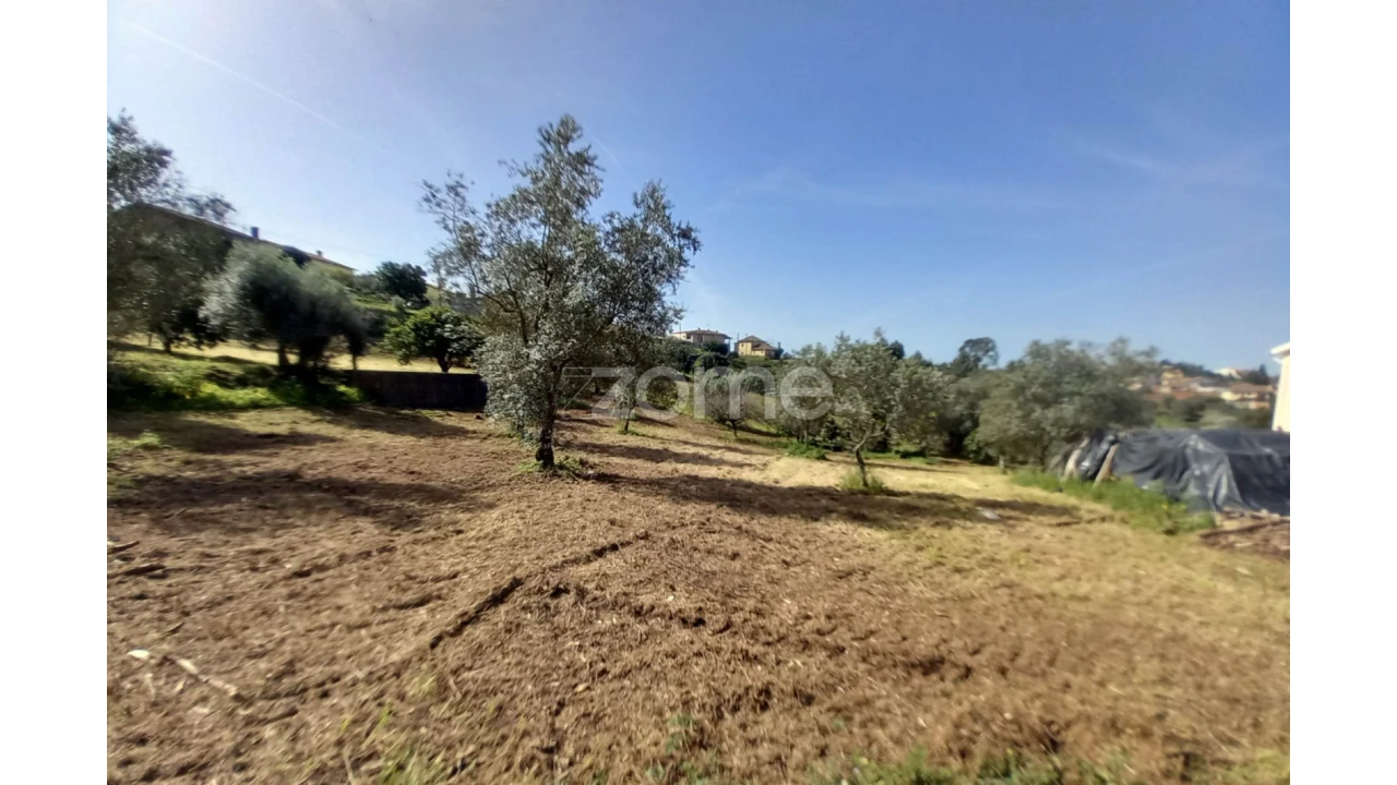 Terreno para Venda em Luso Foto 1