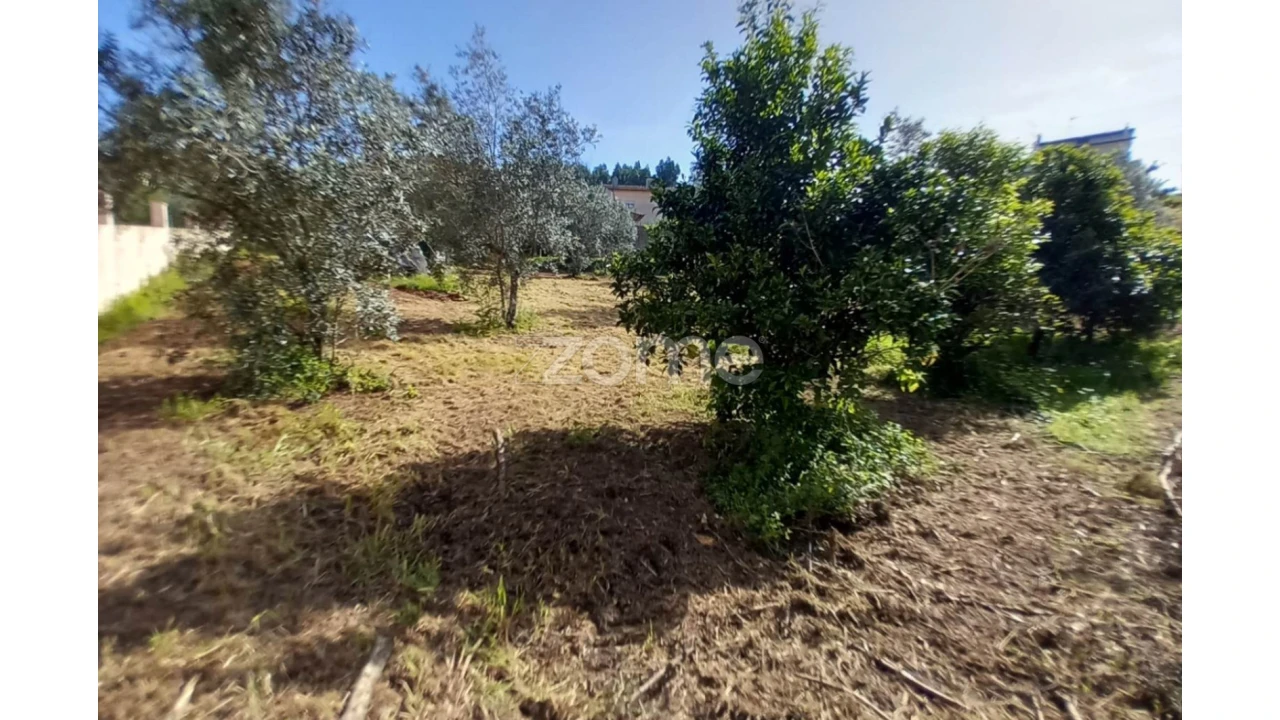 Terreno para Venda em Luso Foto 12