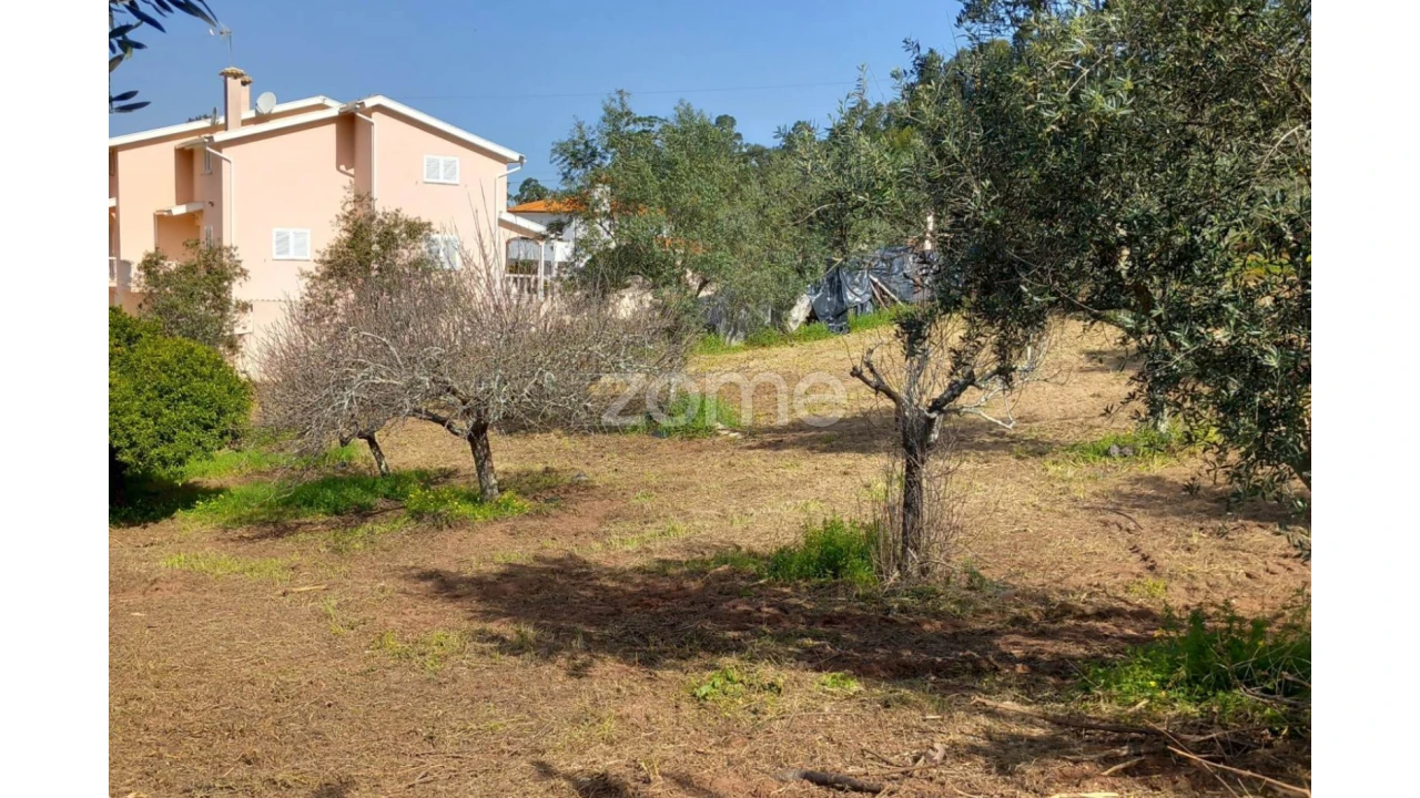 Terreno para Venda em Luso Foto 9