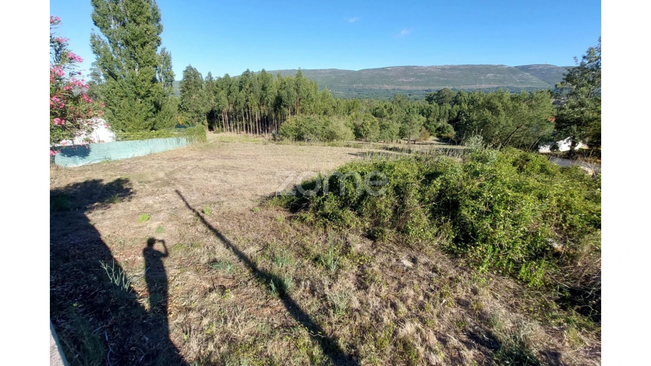 Terreno para Venda em Juncal Foto 12