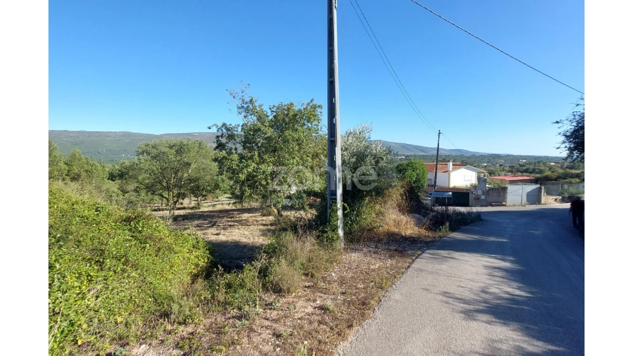 Terreno para Venda em Juncal Foto 4