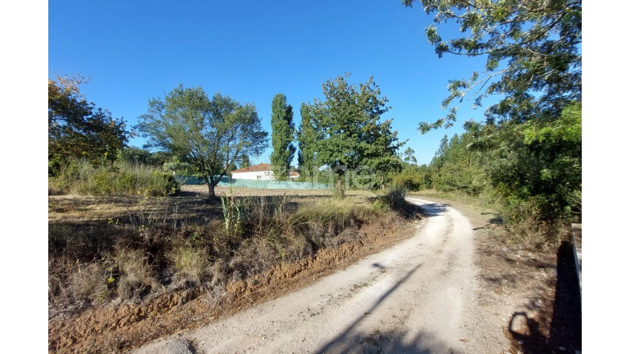 Terreno para Venda em Juncal Foto 8