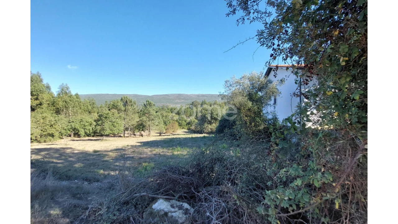 Terreno para Venda em Juncal Foto 13