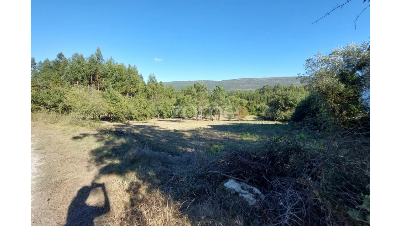 Terreno para Venda em Juncal Foto 23