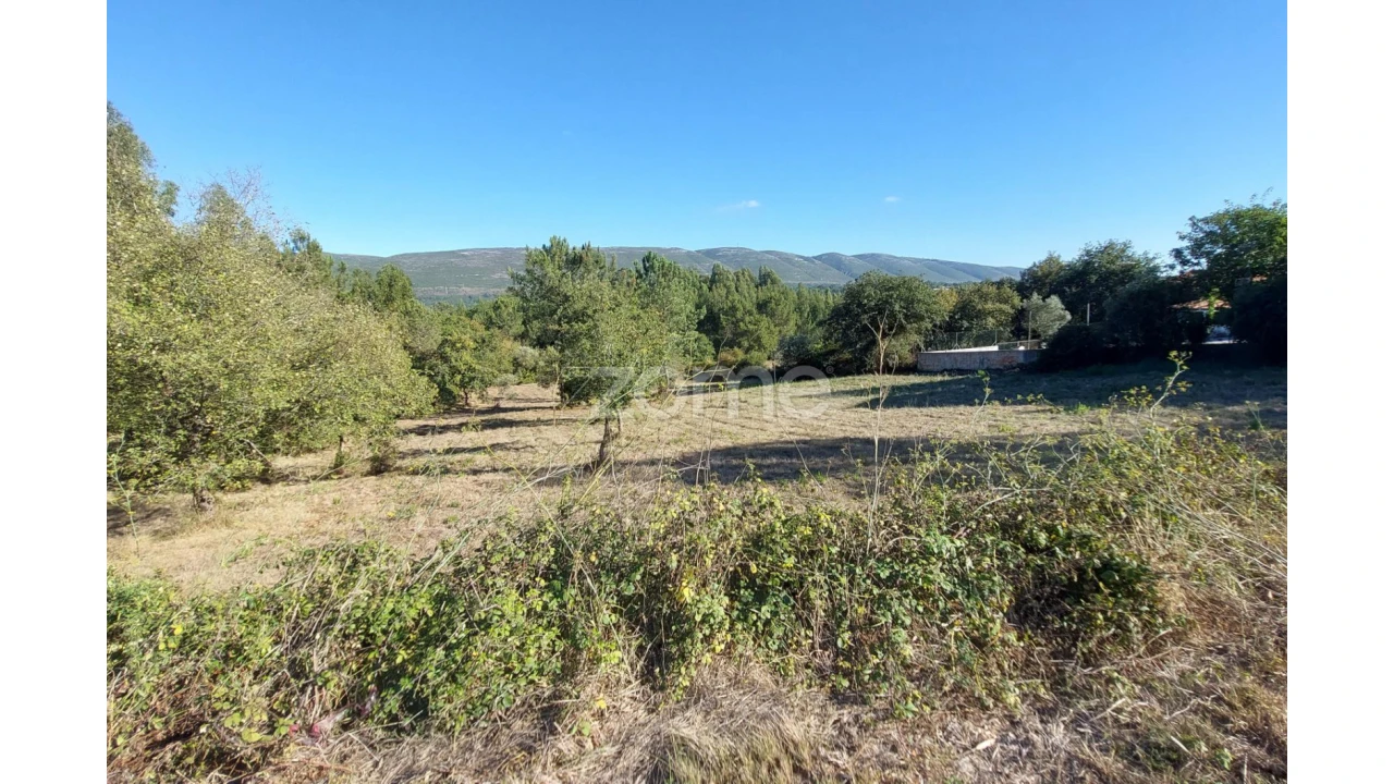 Terreno para Venda em Juncal Foto 14