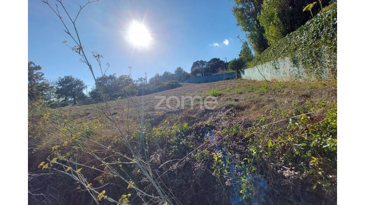 Terreno para Venda em Juncal Foto 15