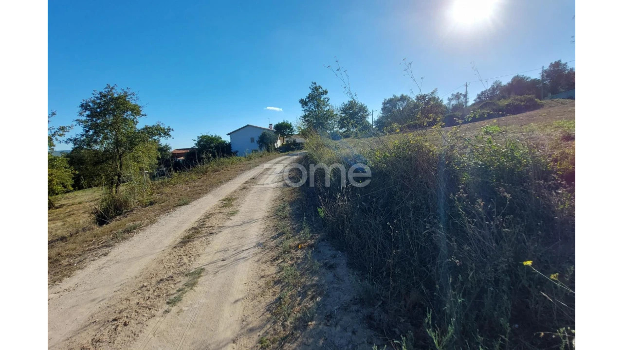 Terreno para Venda em Juncal Foto 16