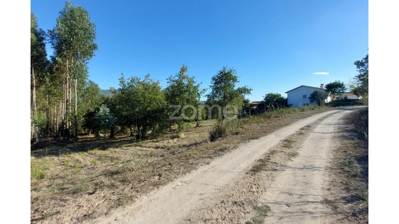 Terreno para Venda em Juncal Foto 17