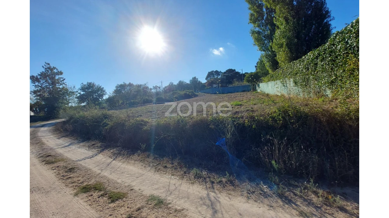 Terreno para Venda em Juncal Foto 22