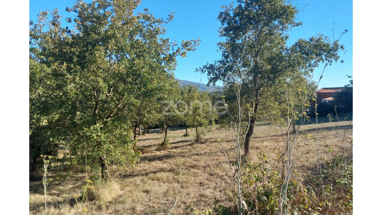 Terreno para Venda em Juncal Foto 20