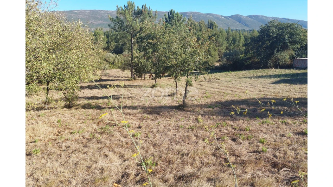 Terreno para Venda em Juncal Foto 19