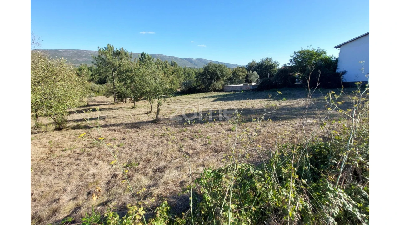 Terreno para Venda em Juncal Foto 3