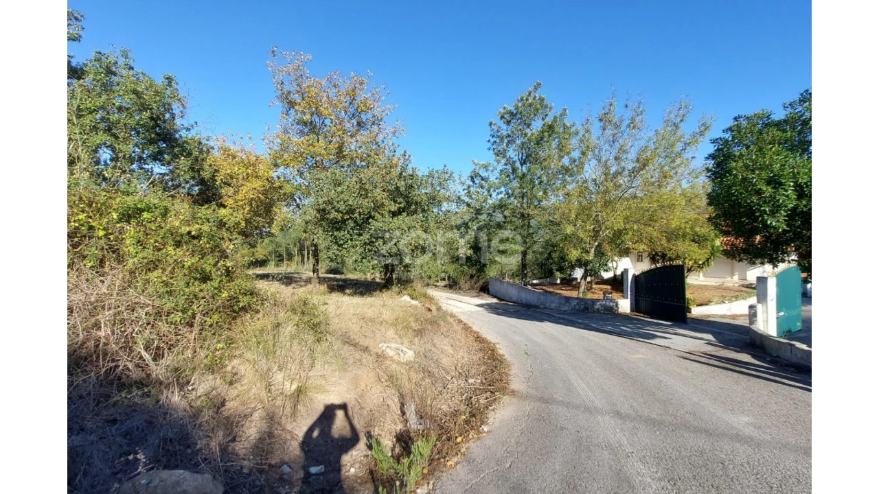 Terreno para Venda em Juncal Foto 21