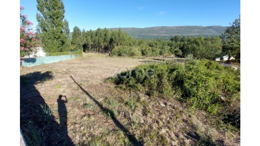 Terreno para Venda em Juncal Foto 12