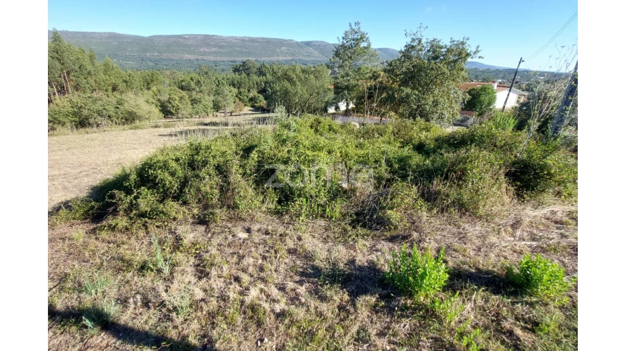 Terreno para Venda em Juncal Foto 2
