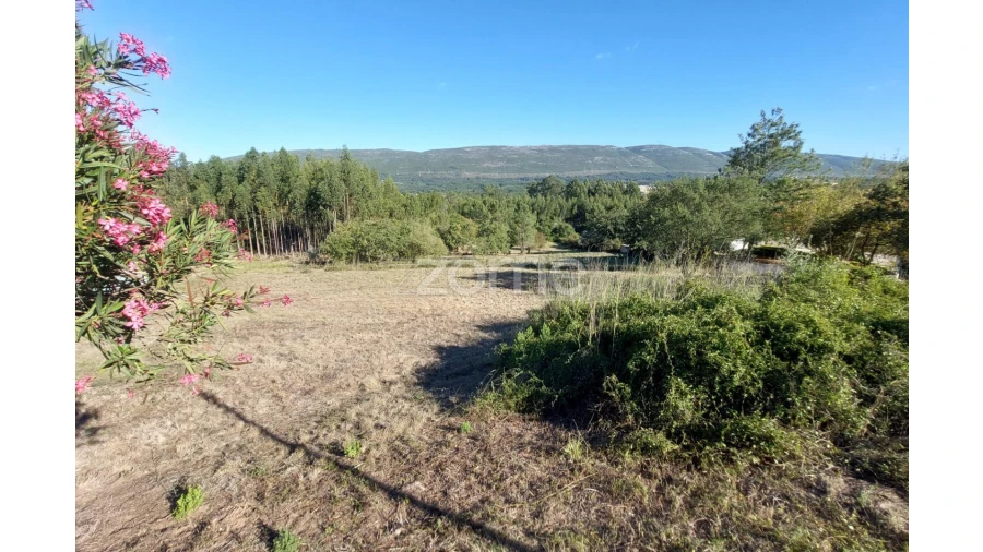 Terreno para Venda em Juncal Foto 5