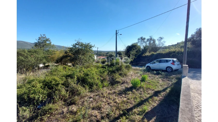 Terreno para Venda em Juncal Foto 6