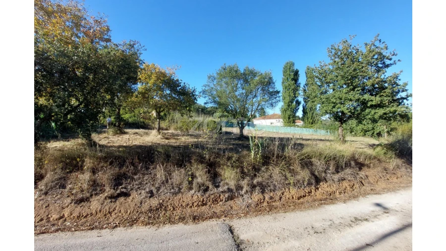 Terreno para Venda em Juncal Foto 9