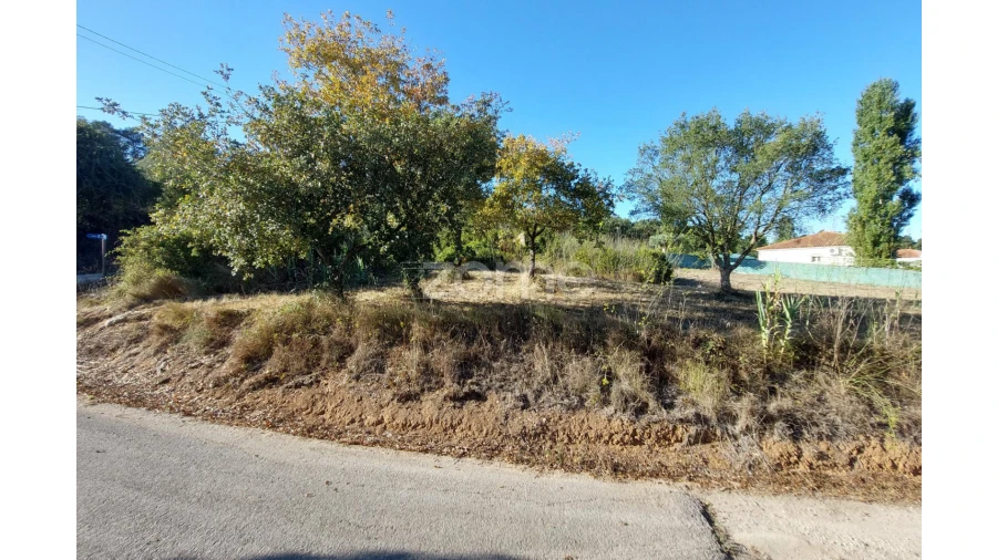 Terreno para Venda em Juncal Foto 11