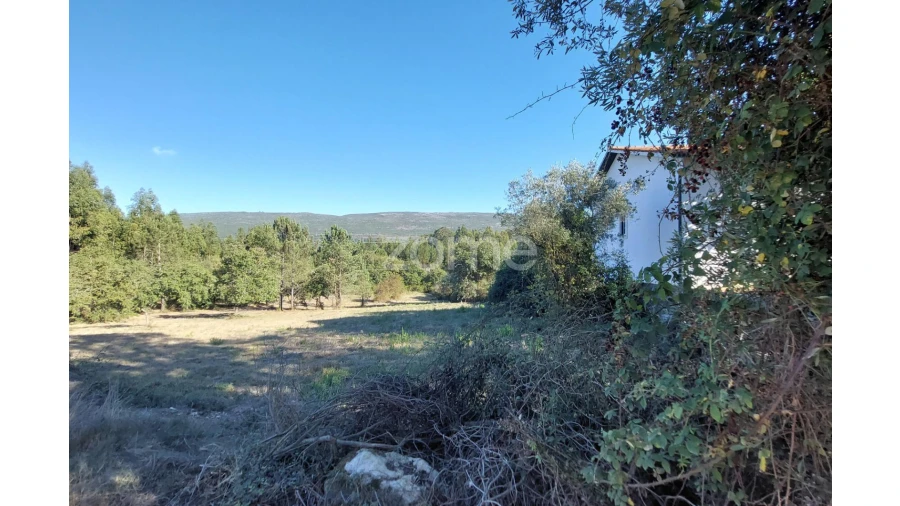 Terreno para Venda em Juncal Foto 13