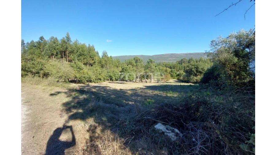Terreno para Venda em Juncal Foto 22