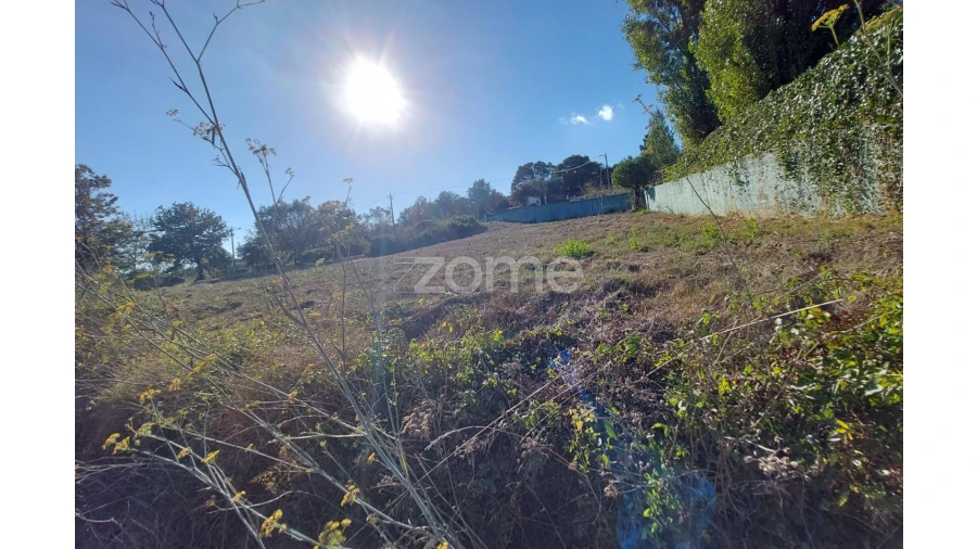 Terreno para Venda em Juncal Foto 15