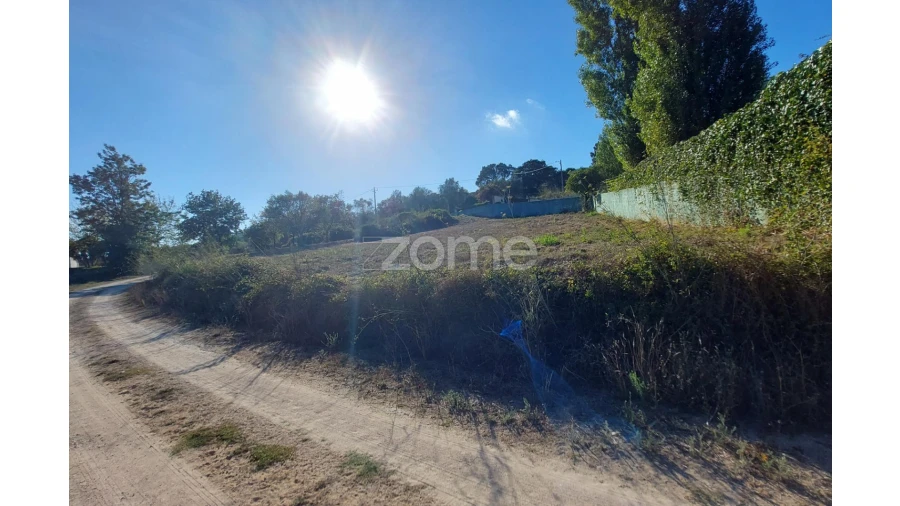 Terreno para Venda em Juncal Foto 21