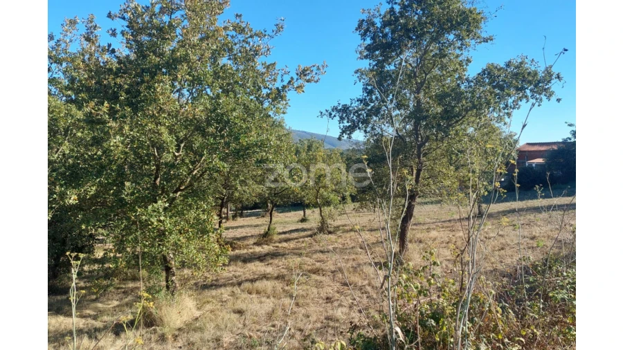 Terreno para Venda em Juncal Foto 19