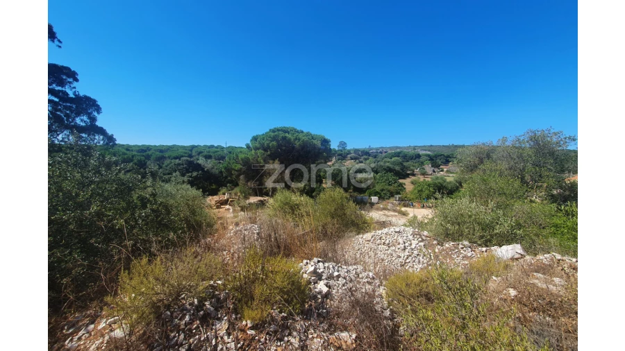 Moradia T10 para Venda em Alcanede Foto 19