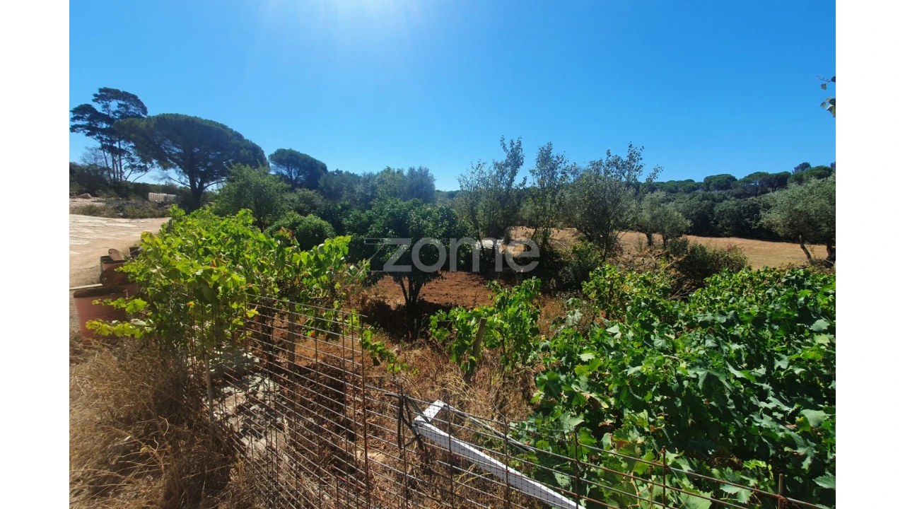 Moradia T10 para Venda em Alcanede Foto 16