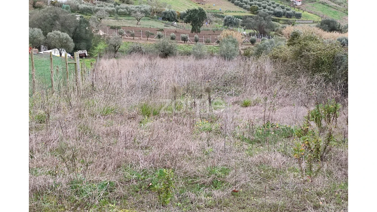 Terreno para Venda em Porto de Mós - São João Baptista e São Pedro Foto 8