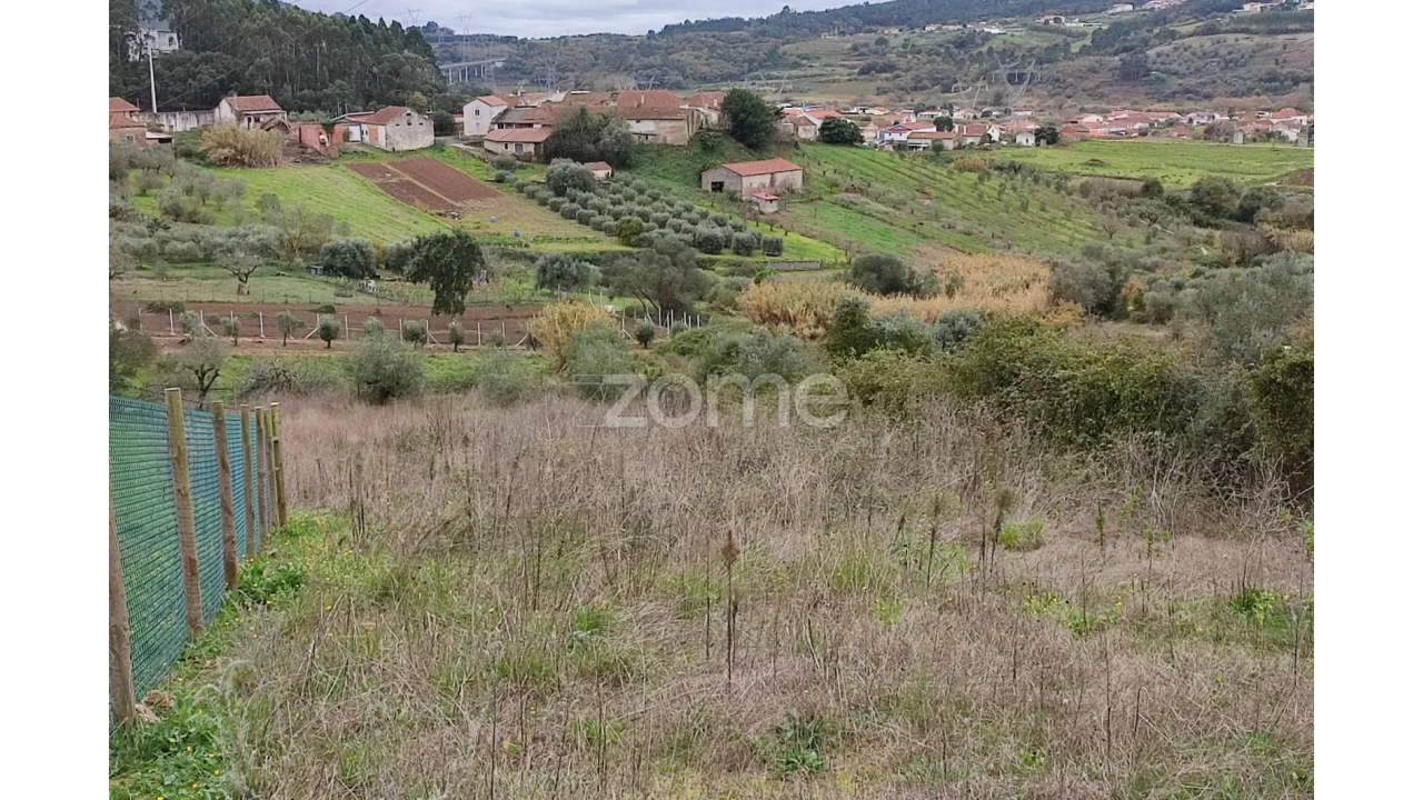 Terreno para Venda em Porto de Mós - São João Baptista e São Pedro Foto 12
