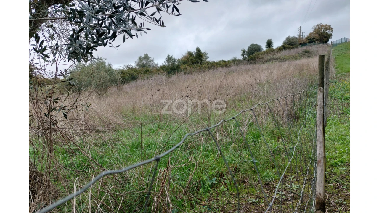 Terreno para Venda em Porto de Mós - São João Baptista e São Pedro Foto 5