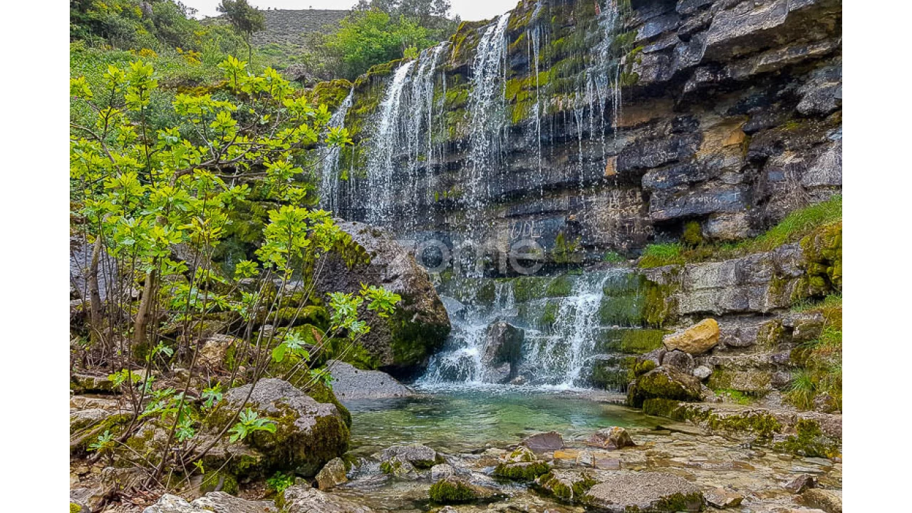 Terreno para Venda em Porto de Mós - São João Baptista e São Pedro Foto 15