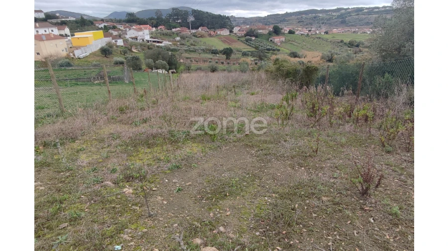 Terreno para Venda em Porto de Mós - São João Baptista e São Pedro Foto 9