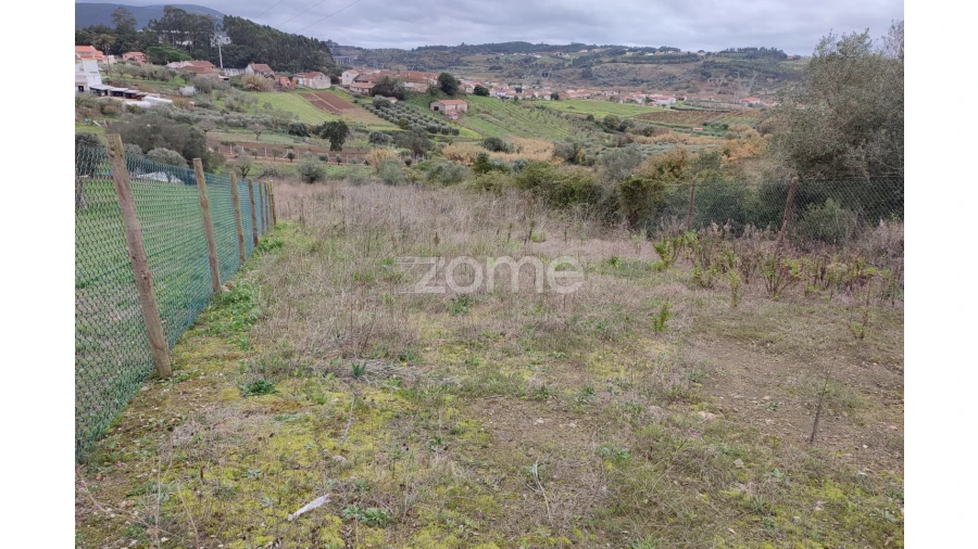 Terreno para Venda em Porto de Mós - São João Baptista e São Pedro Foto 11